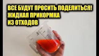 Секретная ЖИДКАЯ ПРИКОРМКА своими руками! Чеснок и креветка для рыбалки на карпа и карася