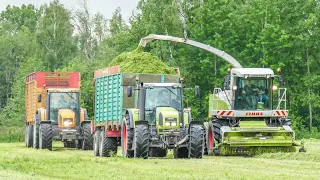 Kuzyni w Natarciu! Oporowy Zbiór Traw Sieczkarnią 2022 [2xClaas, Renault] Boguc AgroTV