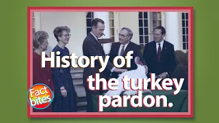 Thanksgiving Turkey Pardon, How did this tradition begin?