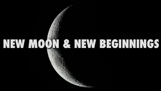 New Moon and New Beginnings With Psychic Medium Susan Rowlen
