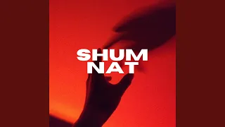 Shum Nat (feat. BLUASKI)