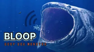 The BLOOP Sound 😱🔊💀💯 | A Mysterious Sound Ever Recorded In The Deep Ocean #deepseacreatures