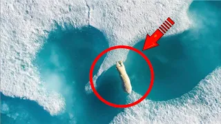 This photo shocked the entire Internet! Just look what the drone discovered!