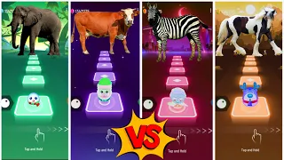 Funny Elephant🆚Funny Cow Dance🆚Funny Zebra🆚Funny Horse💫Lets See Who is best?🎶#coffindance #tileshop