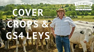 Cover Crops and GS4 Leys - Cotswold Seeds First Hand