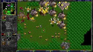 Warcraft 2 12.4.2024