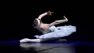 🦢 Svetlana Zakharova - The Dying Swan 🩰