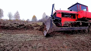 ДТ-75 РОВНЯЕТ, А МЫ КОПАЕМ! ЗДЕСЬ ВСЁ УСЫПАНО МЕТАЛЛОМ!