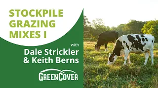 Stockpile Grazing Mixes with Dale Strickler (Part 1/2)