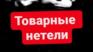 Товарные нетели молочной породы. Продажа КРС живым весом 24 марта 2021 г.