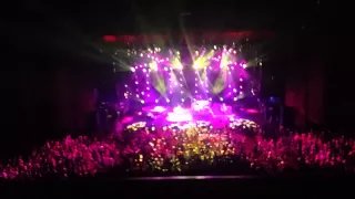 PHISH 8/12/15