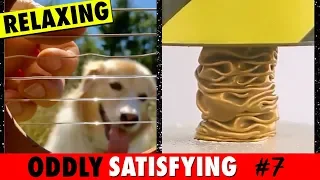 Oddly Satisfying Video #7 [2019] - The Most Oddly Satisfying Video To Relieve Stress