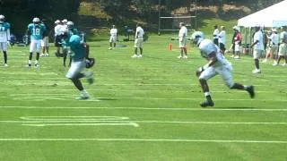 Steve Smith entertains fans during a play at training camp...