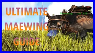 Ark how to tame a Maewing in 2023 ark