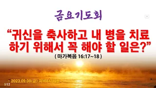 온라인 금요기도회(2023.09.08/금) 귀신을 축사하고 내 병을 치료하기 위해서 꼭 해야 할 일은?(마가복음 16:17~18)_동탄명성교회 정보배목사