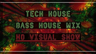 DJ CLEVER - Take a bite ( Tech House / Bass House Mix / HD Visual Show )