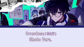 Overdose - なとり / ver. Shoto | Lyrics Romaji