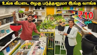 உங்க வீட்டை அழகு படுத்த இங்க வாங்க | Green Celebration | Vino Vlogs