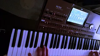 Savage - Only You / Korg pa700 style