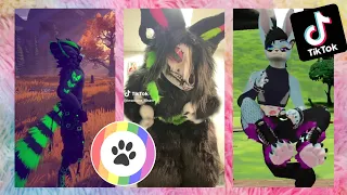 Furry TikToks Compilation #7