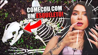 HÁ 100 DIAS CONSTRUÍ UM ECOSSISTEMA, E ENTÃO ISSO ACONTECEU - REACT