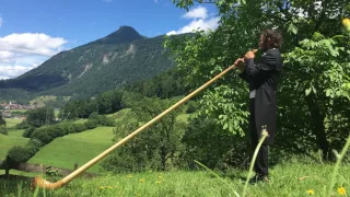 Greetings from the Alps: Brahms' Alphorn Theme