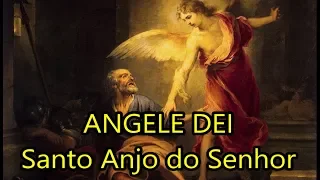 Angele Dei - Santo Anjo do Senhor