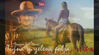 Tužna su zelena polja  - Dragan Veličković