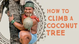 How To Climb a Coconut Tree