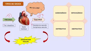 Fisiopatología del Shock - USMP