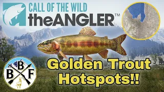 Hotspot Guide: Golden Trout - Plus Hook Size, Bait and Lure!! | Call of the Wild: theAngler