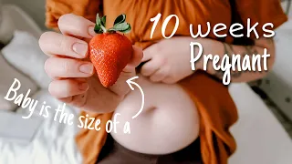 10 WEEKS PREGNANT (UPDATE) // FINDING OUT THE GENDER, WEIGHT GAIN, AND SYMPTOMS