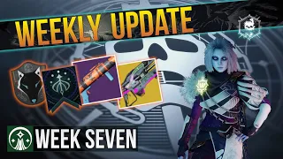 Weekly Update: Week of May 21, 2024 | Into the Light (Week 07)