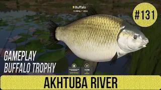 Russian Fishing 4 - Akhtuba River - Gameplay Buffalo Trophy - #131