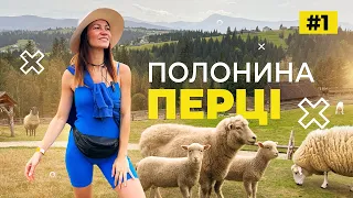 Етно-парк Полонина перці | Відпочинок в Карпатах, село Яблуниця | #1