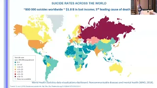 The Neurobiology of Suicidal Behavior Presented By Maria A. Oquendo, M.D., Ph.D.