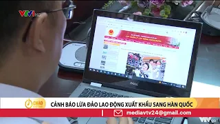 Cảnh báo lừa đảo xuất khẩu lao động sang Hàn Quốc | VTV24