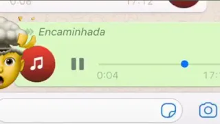 Amanhã já é sexta-feira de novo áudio whatsapp