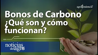 Bonos de Carbono 🌳💰 ¿Qué son y cómo funcionan?