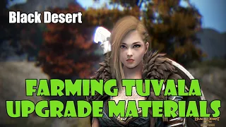 [Black Desert] How to Farm Season Upgrade Materials! | Time Filled Blackstones, Tuvala Ore, etc...