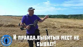 №15 Хоженое место радует изобилием находок!