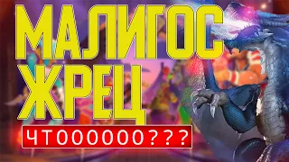 МАЛИГОС ЖРЕЦ СУЩЕСТВУЕТ! БЕЗУМНЫЕ КАТКИ! Hearthstone / Ярмарка Безумия