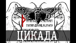 Все загадки Cicada/Цикада 3301