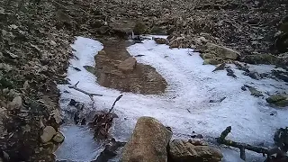 Прогулка за живой водой в зимний лес предгорий Кавказа