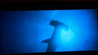 Flipper 1996 Hammerhead Shark Frist Appearances