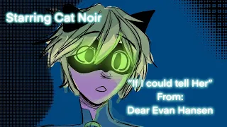 “If I could tell her” animatic Miraculous Ladybug (Dear Evan Hansen)