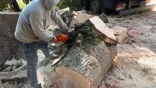 Завершення дня з відземками Ясена та STIHL MS 462 C-M 🪚🪚🪚🌳🌳🌳