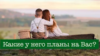 Ты меня не любишь, не жалеешь, разве я немного не красив?😊❤️😊