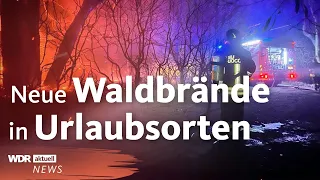 Waldbrände am Mittelmeer: Hitzewelle sorgt für viele Feuer | WDR Aktuelle Stunde