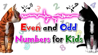Even and Odd Numbers for Kids | 1st-2nd Grade | Noodle Kidz